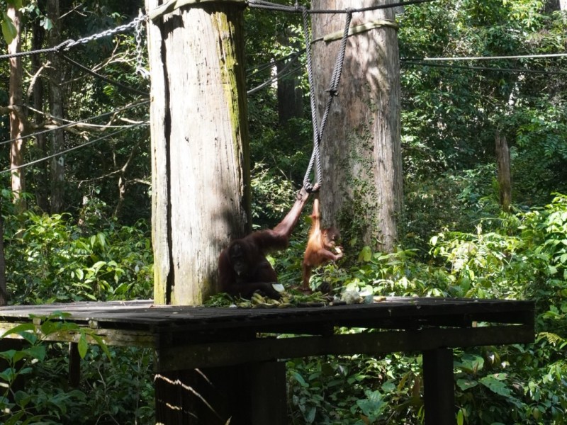 Malaysian Borneo: Two weeks in&nbsp;Sabah